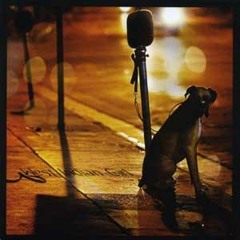 Sofia - West Indian Girl