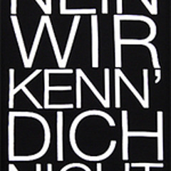 Laas Nein wir kenn dich nicht (MATTHEW.B REMIX)