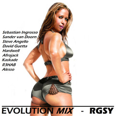 Evolution Mix (Afrojack, David Guetta, Sebastian Ingrosso, Steve Angello, R3hab & Sander van Doorn)