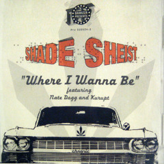 Shade Sheist feat. Nate Dogg & Kurupt - Where I Wanna Be (Buré Remix)