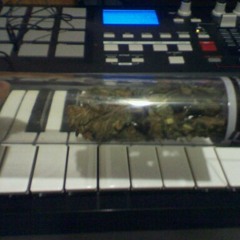 Roll: Produced By TOON @ The Operating Room