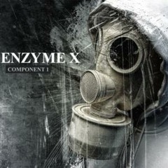KillSwitch-Enzyme X 2012 Mix