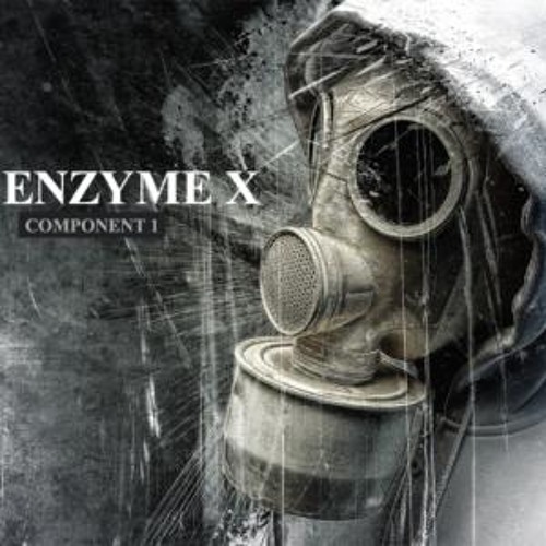 KillSwitch-Enzyme X 2012 Mix