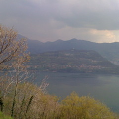 Soft Verdict - Multiple 12