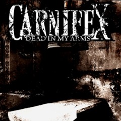 Carnifex - Lie to my face (CLIP&SUPERIOR DRUMMER TEST)