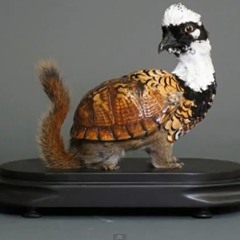 Native love-female trouble