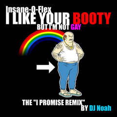 I Like Your Booty (But I'm Not Gay) (The "I Promise Remix" by MQ6/DJ Noah)