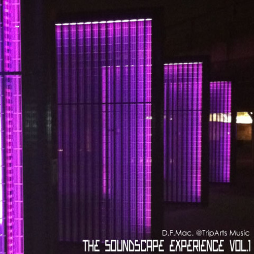 D.F.Mac. - The Soundscape Experience Vol.1