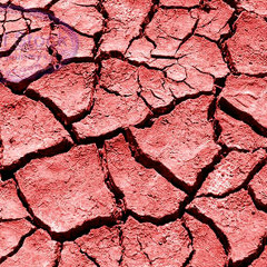 191 - Red Clay - Freddie Hubbard - 320kbps