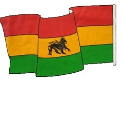 remix jah Mason feat Faly Dread" Remix  Bloodshot Riddim."