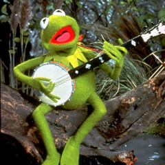 Rainbow Connection (Kermit's song) from 1979 The Muppet Movie, covered by Pomme Narin