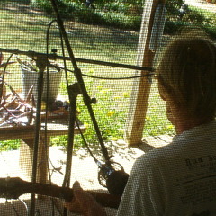 Baby Please Don't Go