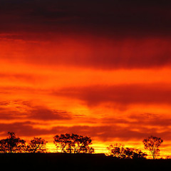 MrHarris - Dead Man Walking