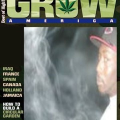 BB-Blowin On Jamaica