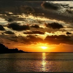 - راضي بالكية -