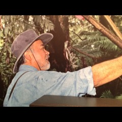 Fly mating call exhibit sounds