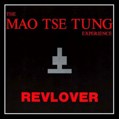 PSKabelsalat - Irregular Times (The Mao Tse Tung Experience Cover)