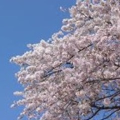 ナゴミスタイル"サクラスパイラル" DEMO "BEATLESS"