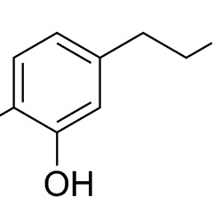 C8H11NO2 - Ness Mess