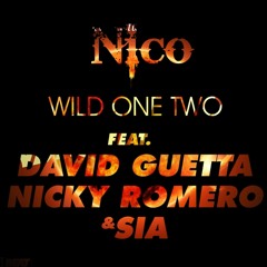 David Guetta feat. Nicky Romero feat. Sia vs. R3hab - Wild Fire One Two (Nico Bootleg)