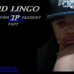 Kid Lingo lean and geek