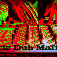 WINSTRONG  - RUDE BOY DUB ....b-dank.... IRIE DUB MAFIA  ..