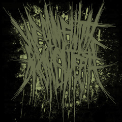 Unnamed - We Came with Broken Teeth