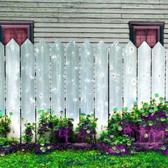 The Paint is Worn Off The Fence