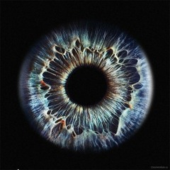 "Your Eyes" (Unfinished), from the 5th album, (Untitled) GPZ#5, Unreleased 2012.