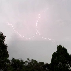 846 THUNDER 8020s SASS 170212