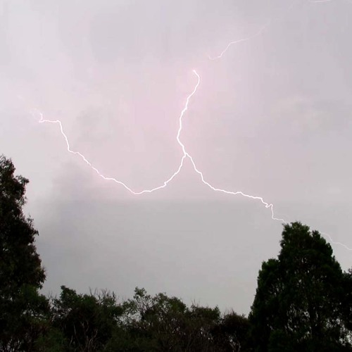 846 THUNDER 8020s SASS 170212