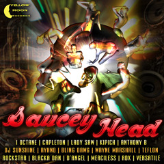 Saucey head riddim - 01/2012