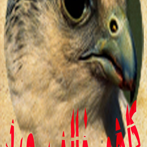 مصر يا ام الدنيا يا ..