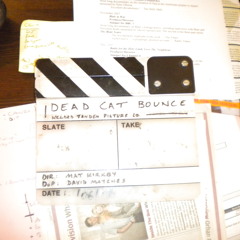 Overenthusuastic Contraceptive Lady