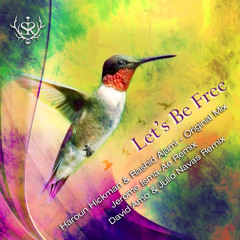 Haroun Hickman & Rashid Ajami - Lets Be Free (David Amo + Julio Navas Remix)