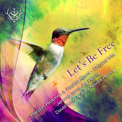 Haroun Hickman & Rashid Ajami - Lets Be Free (Jerome Isma-Ae Remix)