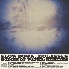 Slow Down Molasses- Light (Form Remix)