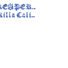 Fast lane freestyle- SEER