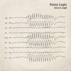 Fuzzy Logic -  Electric Light