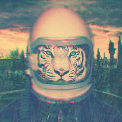 Alter ego Sokool Playlist