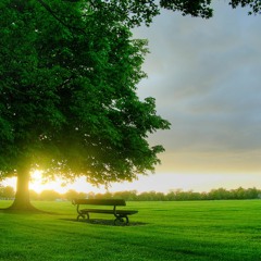 Auva - Good Morning