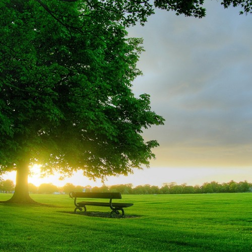 Auva - Good Morning