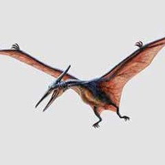 WING FINGER by TERODAKTYL