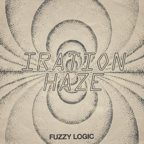 Fuzzy Logic -  Haze Dub