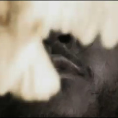 Wildcookie - Heroine (Kwazar takeover remix)