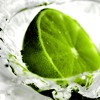 Feed Me Mega Mix Mp3