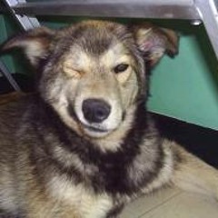 Wink of an Eye - Lyrics and vocals by Danny Ray