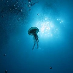 tINI - medusa (Meets Jack rmx /Fab dub edit)