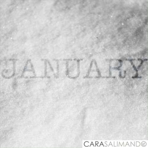 Bookmark - Cara Salimando - January (2012)