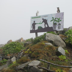 De Viva Voz- Raimundo Quintal-Estado do Ambiente-15.02.12